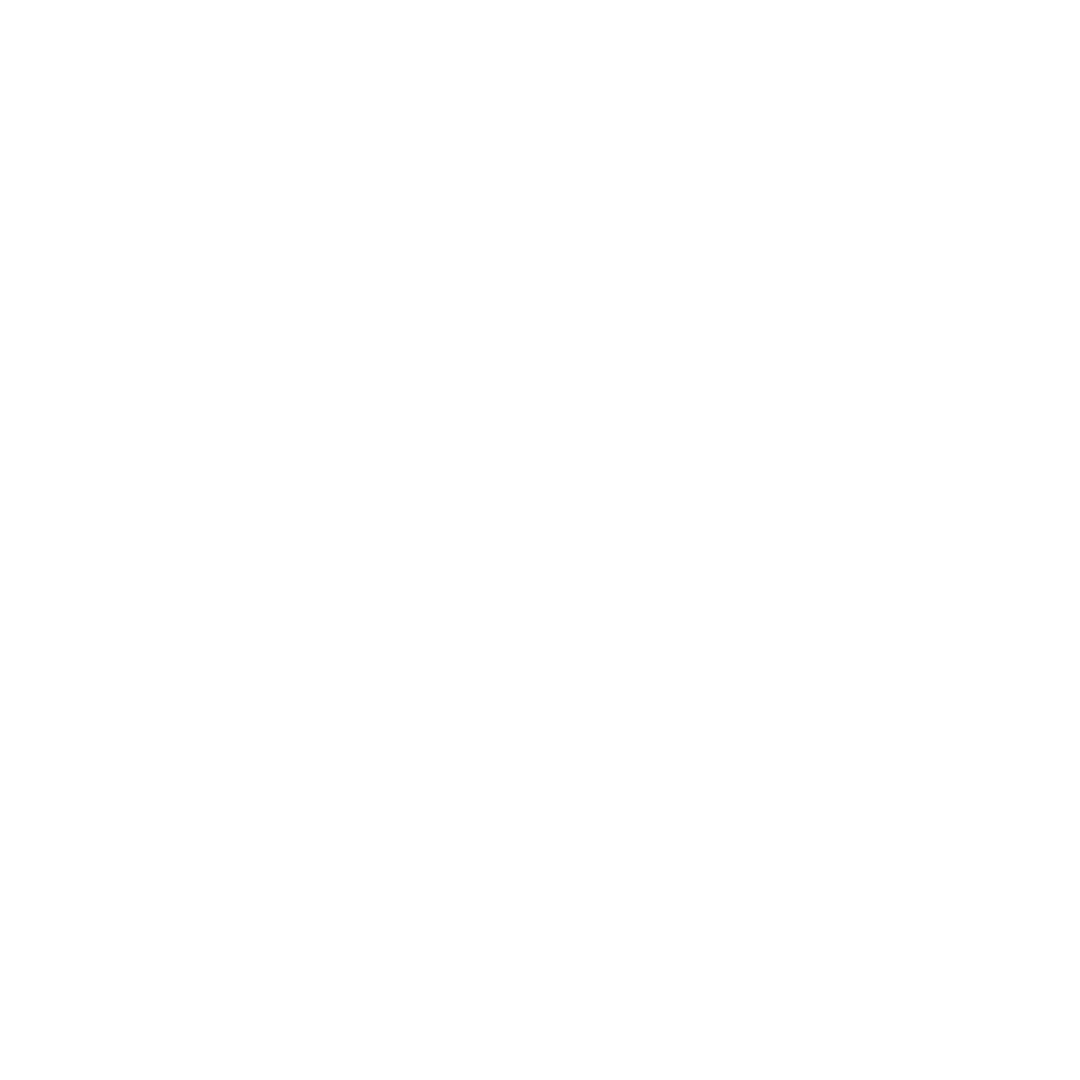 Carnegie Mellon